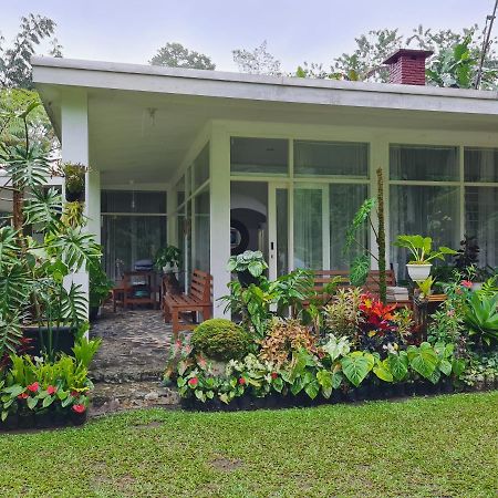 The Forest Villa Bogor Exterior foto