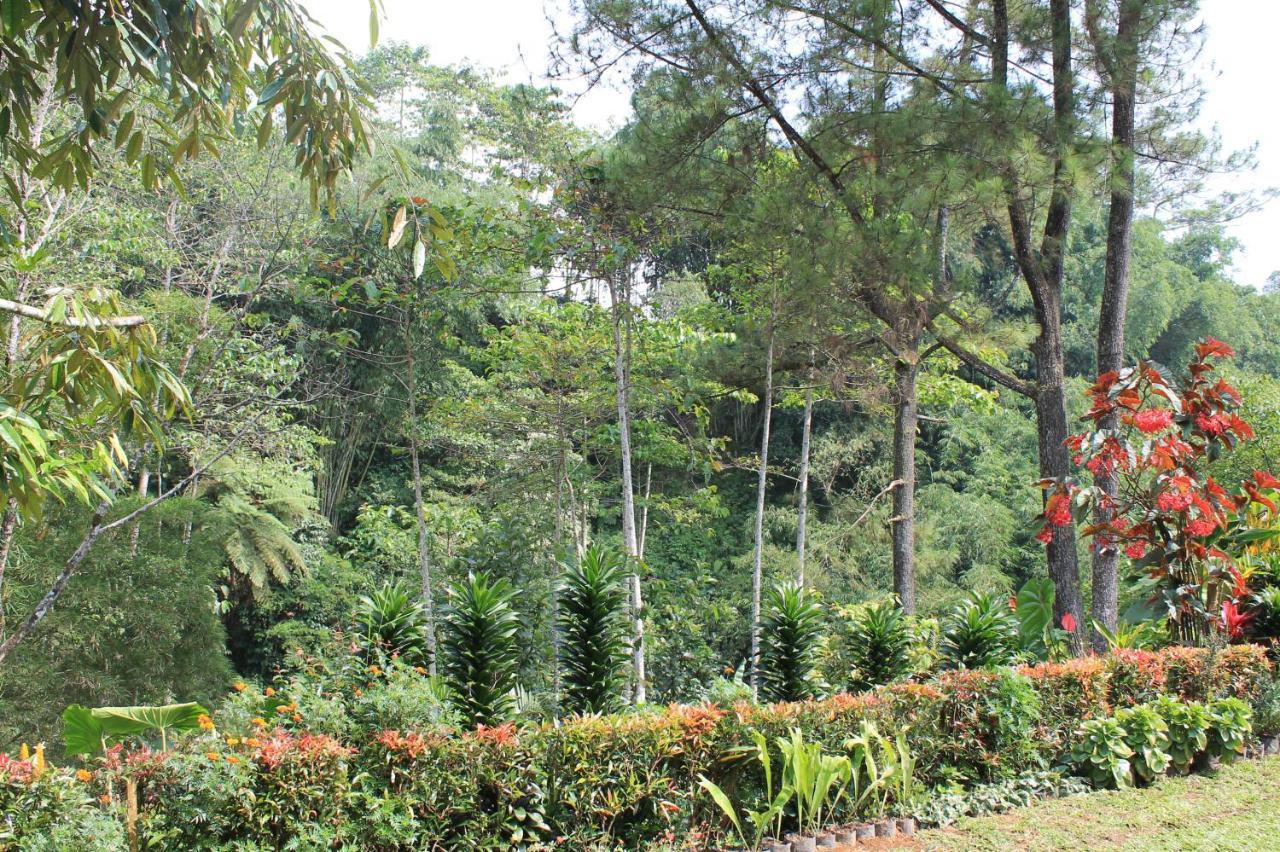 The Forest Villa Bogor Exterior foto