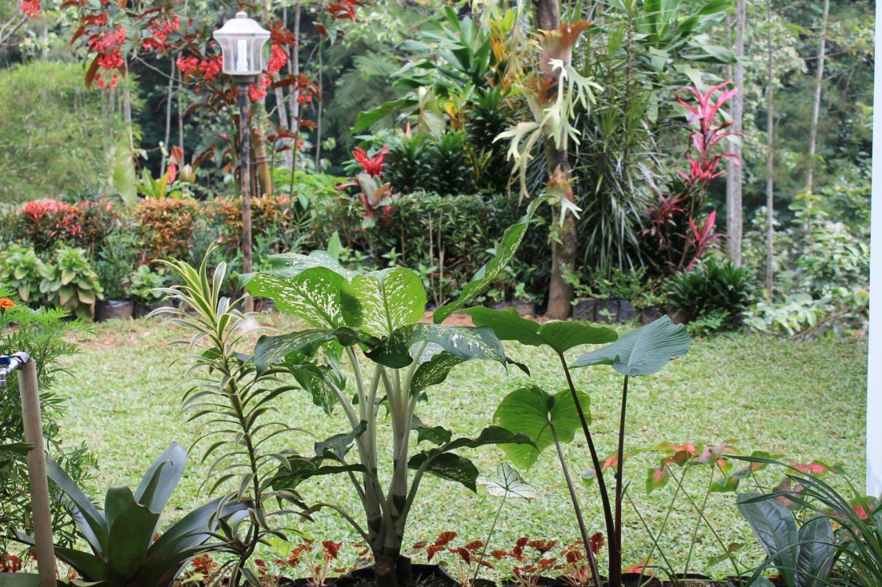 The Forest Villa Bogor Exterior foto