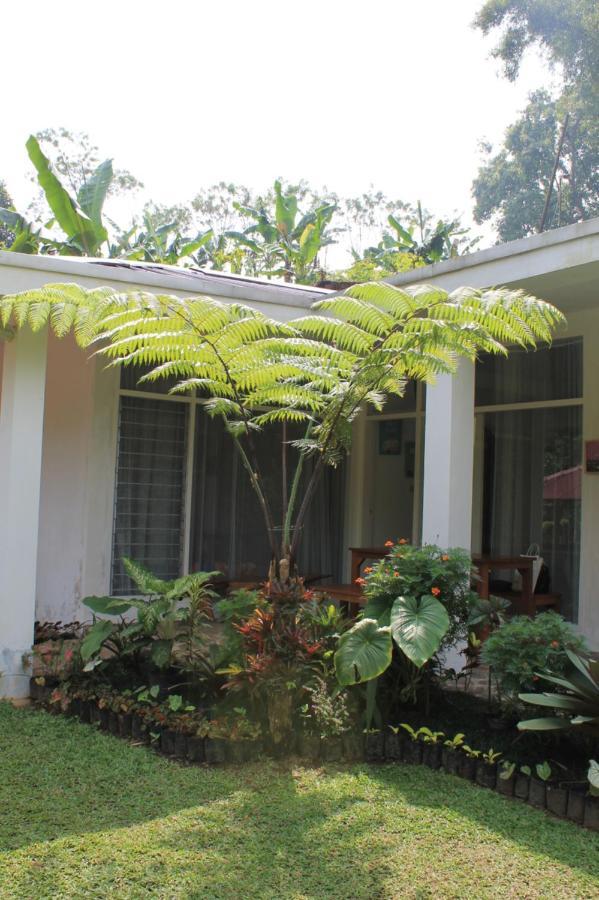The Forest Villa Bogor Exterior foto
