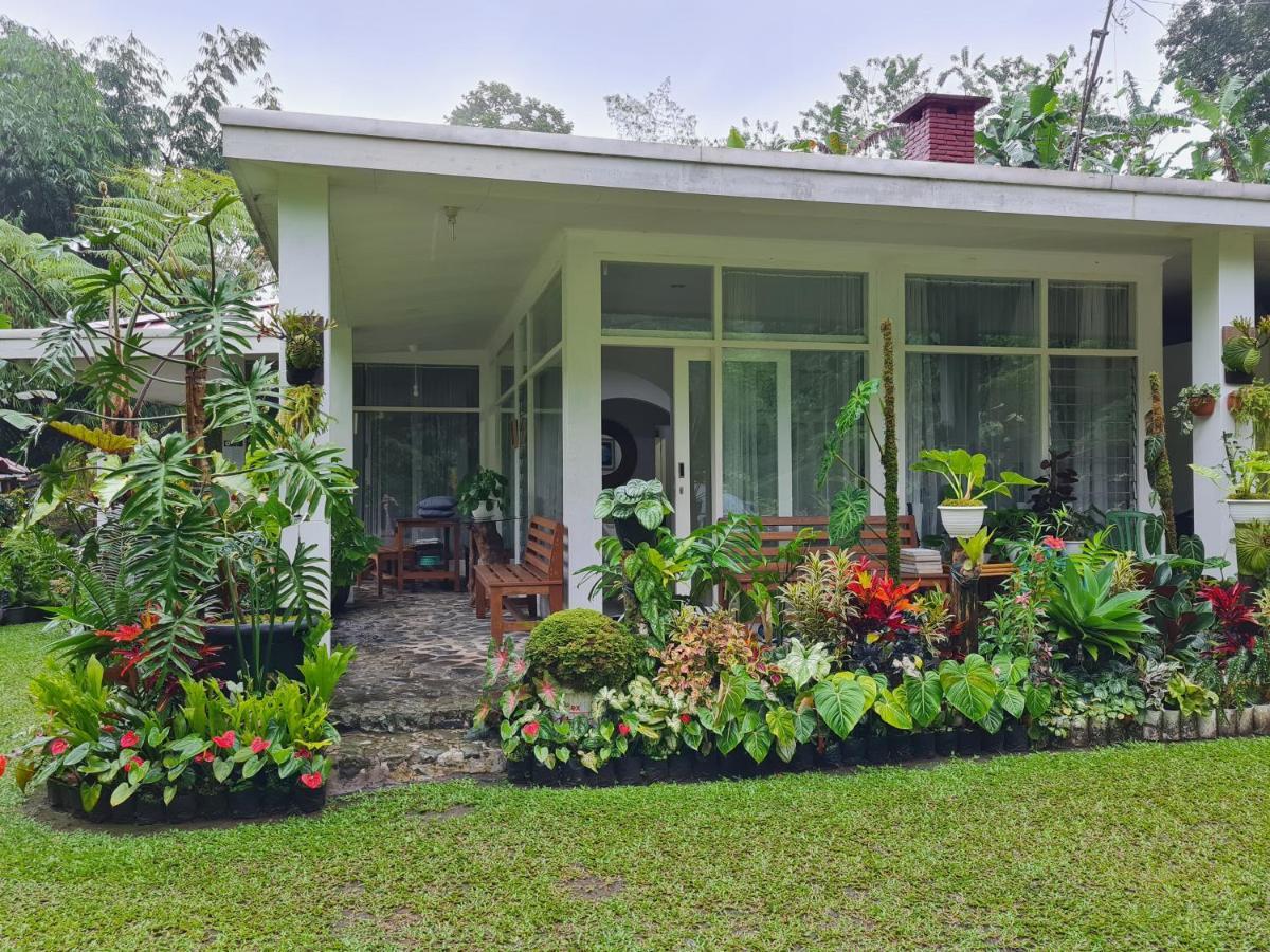 The Forest Villa Bogor Exterior foto