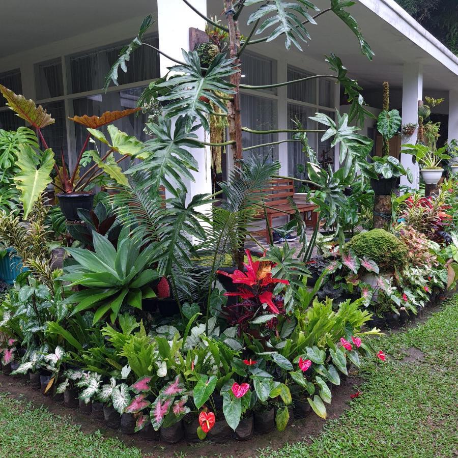 The Forest Villa Bogor Exterior foto